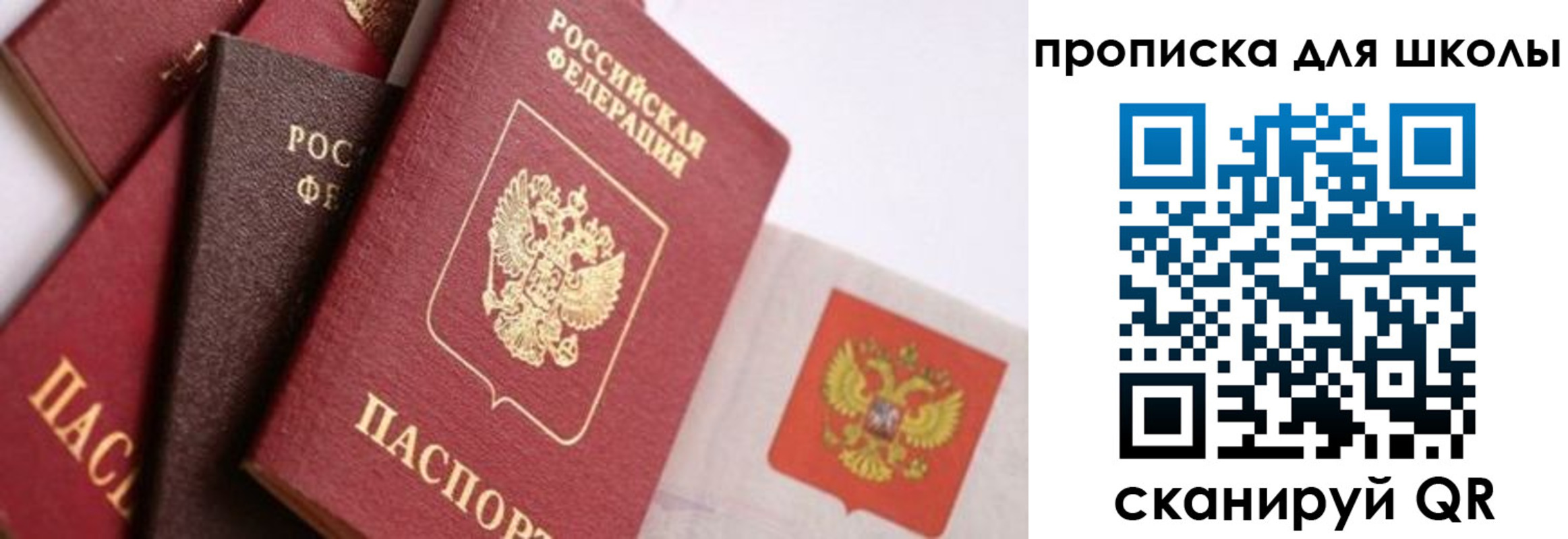 прописка поиск в Нариманове